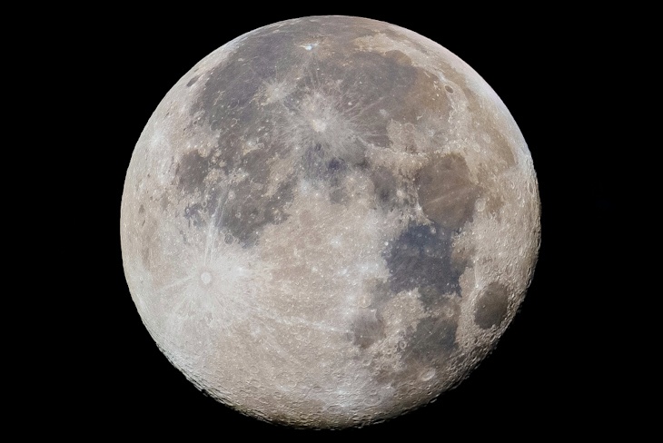 Волгоградцы увидят огромную  «Бобровую Луну» 5 ноября