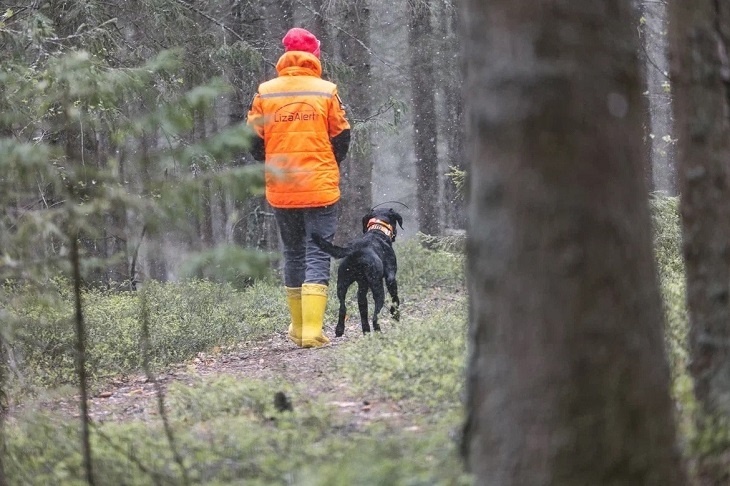 32 пропавших в октябре  волгоградца нашли живыми