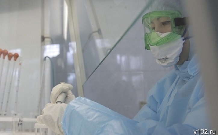 В Волгограде 12 человек заразились после укуса клещей опасной болезнью Лайма