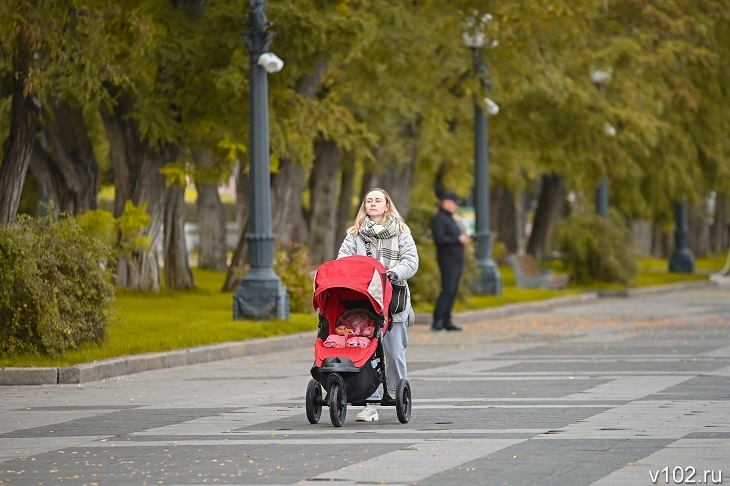 Соцфонд назвал максимальную сумму «декретных» для волгоградских мам в 2026 году