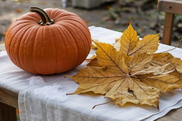 Тыквенный сезон: 5 рецептов из главного осеннего суперфуда