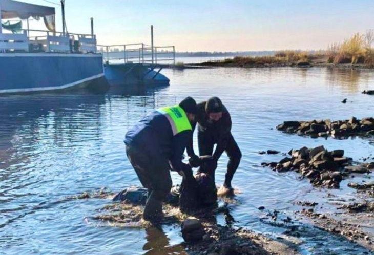 Второго утопленника нашли водолазы в Волге на Набережной