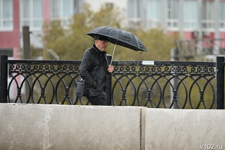 Дожди зарядят в Волгоградской области с 12 ноября
