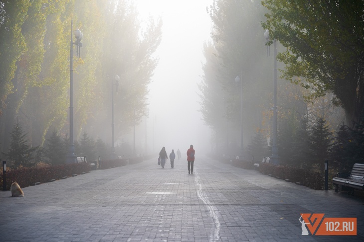 Дожди прогнозируются в Волгограде и области до конца недели