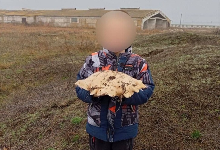 Килограммовую синеножку нашла жительница Волгоградской области