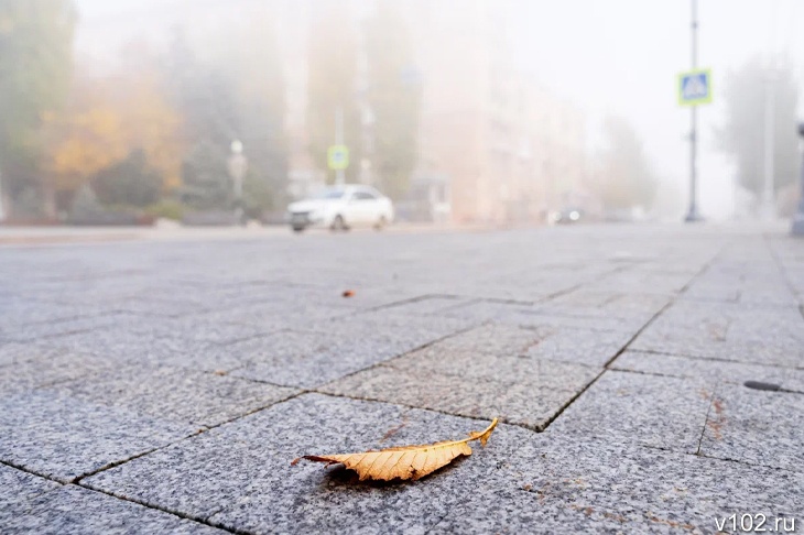 В Волгоградской области туманы задержаться до 18 ноября