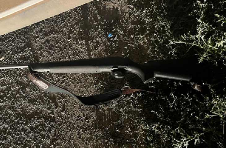 Под Волгоградом браконьер убил лося из чужого ружья