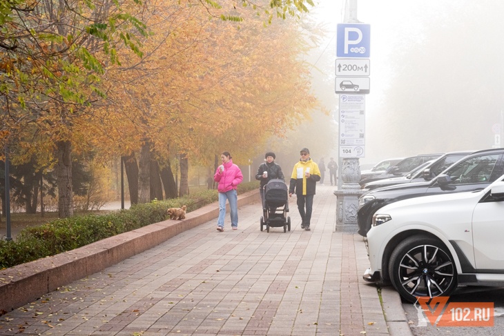 Туманы и дожди задержатся в Волгоградской области