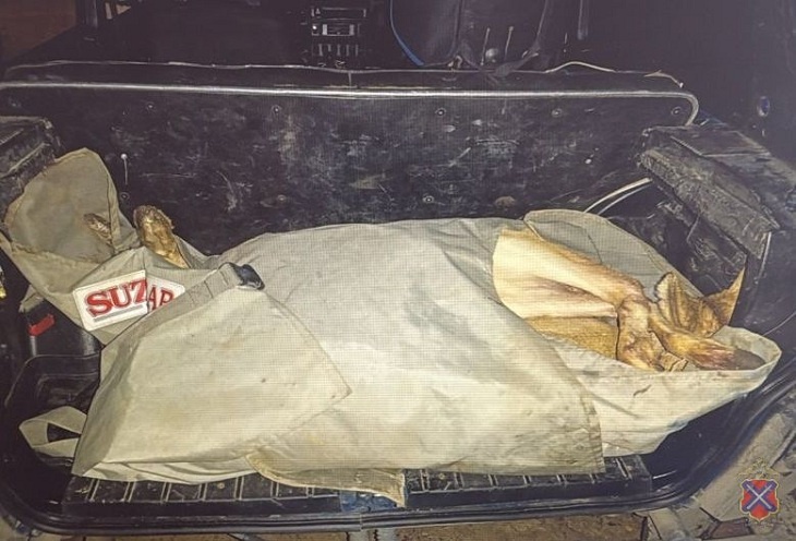 В Камышине задержали браконьера с двумя застреленными косулями