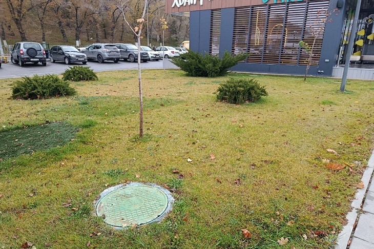 Ресторану и кофейне в центре Волгограда перекроют воду и канализацию