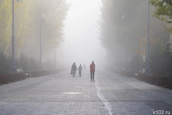 В Волгоградская область погрузится в туман вплоть до конца недели