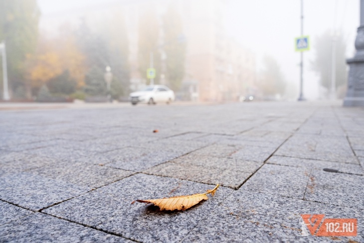 Желтый уровень опасности объявлен в Волгоградской области до 24 ноября
