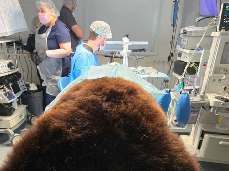 Мишу с ринитом из волгоградского зооцентра «Дино» прооперировали в Санкт-Петербурге