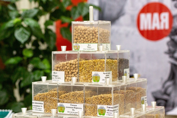 Волгоградская область побила прошлогодний рекорд по сбору бобовых