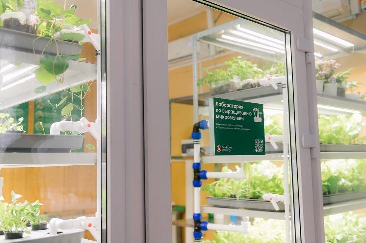 В Волгоградском колледже появилась теплица с микрозеленью благодаря победе в «Здоровой Олимпиаде»