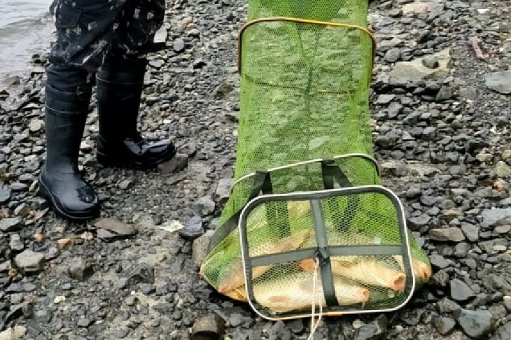 Под Волгоградом рыбак лишился выловленных сверх нормы 130 кг сазана и леща