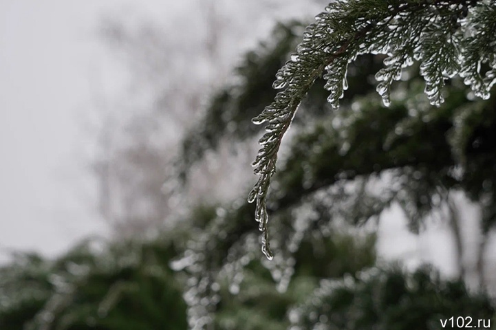 Морозы до -7 ºC надвигаются на Волгоградскую область