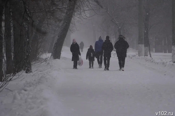Снег прогнозируют синоптики к концу недели в Волгоградской области