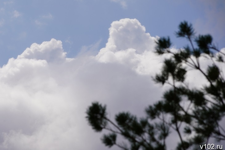 В Ростове ученые выявили критическое загрязнение атмосферы