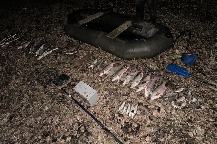 Уничтожали всё живое: двоих мужчин задержали на Дону за варварский улов 23 кг рыбы