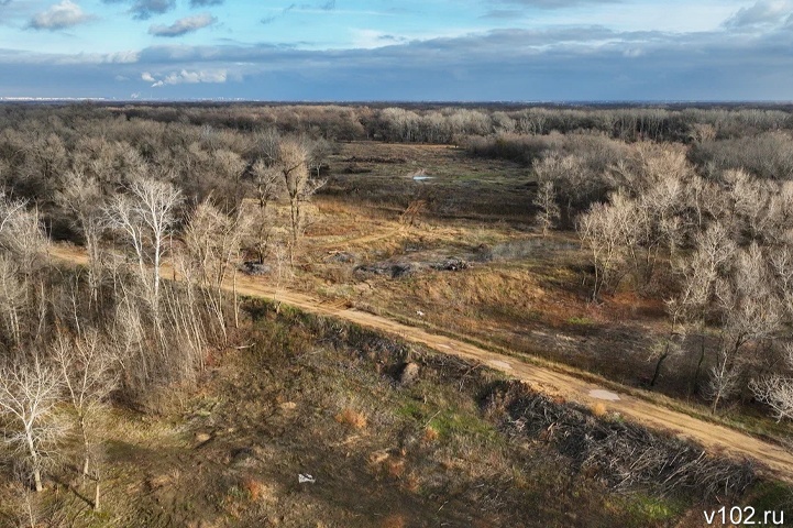 В Волгограде и области бесследно исчезли пять человек