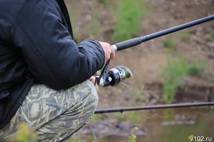 Ученые: морские виды могут вытеснить речные из-за осолонения Азовского моря