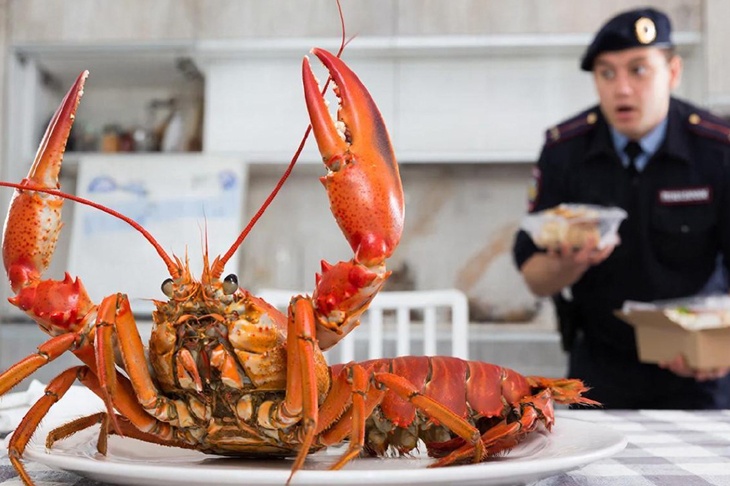 В Волгограде 5 лет тюрьмы грозит курьеру за 4 кг пропавших раков