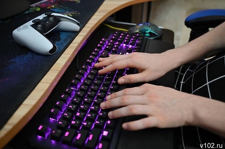 В Госдуме высказались против блокировки Roblox