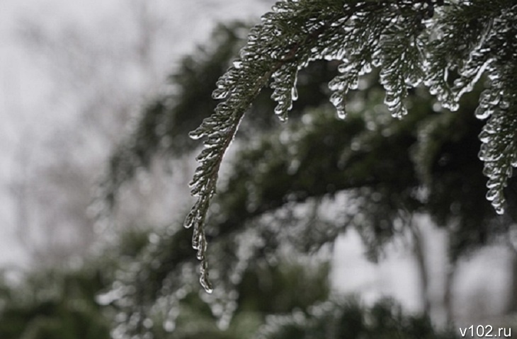 Зима крадется? Снег и мороз до -8 ожидаются в Волгоградской области