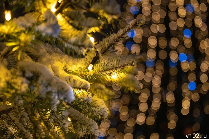 В Волгограде приоденут ели у «Гасителя» и ЦКЗ за 1,5 млн рублей