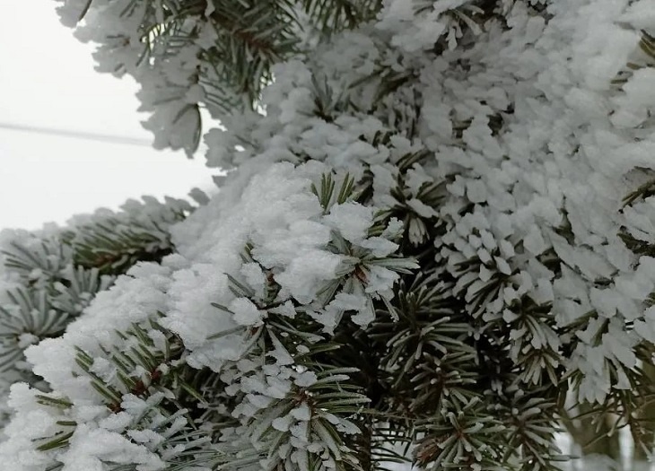 Север Волгоградской области накрыло первым снегом