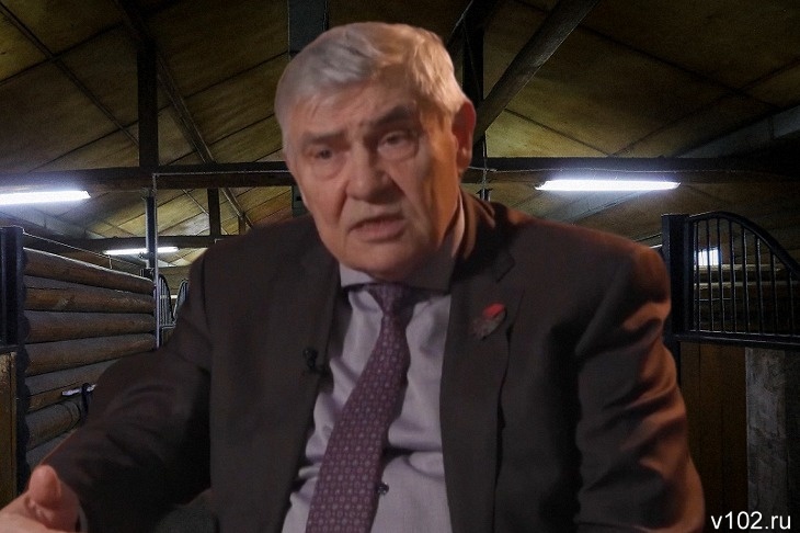 «Бесчеловечное преступление»: Владимир Сальный потребовал найти волгоградского отравителя лошадей