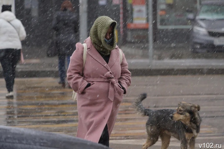 Гидрометцентр: в Волгоградской области гололедица задержится ещё на несколько дней
