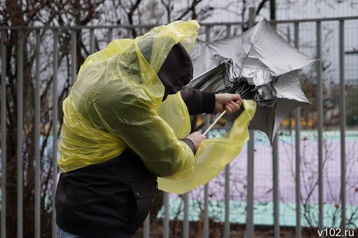 Гидрометцентр предупредил волгоградцев об усилении ветра до 28 м/с
