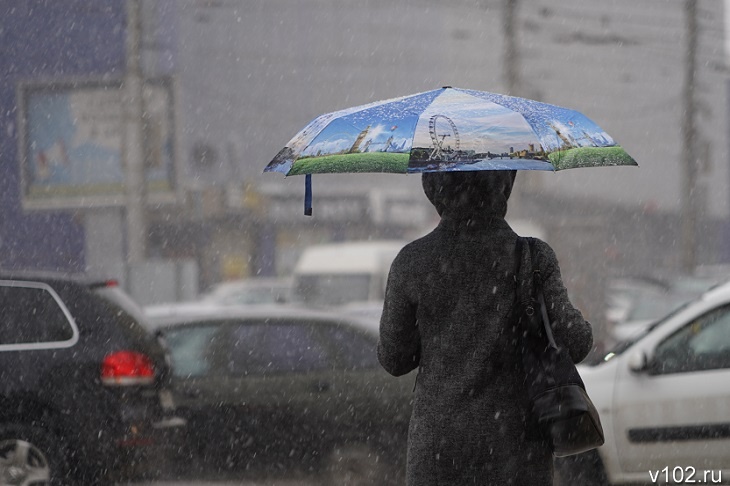 Волгоградскую область накрыл шторм с мощным ветром и снегодождем