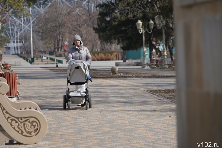 Пособия по беременности увеличится для волгоградок в 2026 году