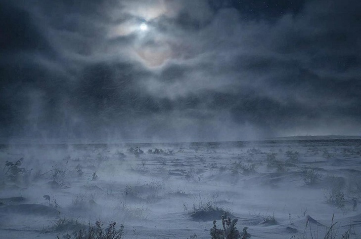 Четыре чабана насмерть замерзли в волгоградской степи во время бурана, один пропал