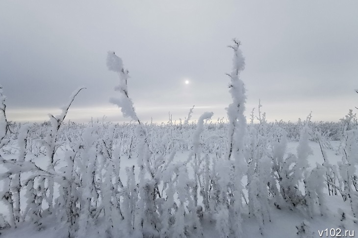 Пропавшего в снежный буран пятого чабана ищут в Волгоградской области