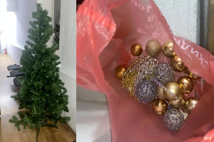 Волгоградская полиция задержала похитителей новогодней ёлки