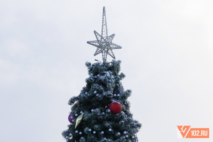 Огни на главной ёлке Волгограда зажгут 20 декабря
