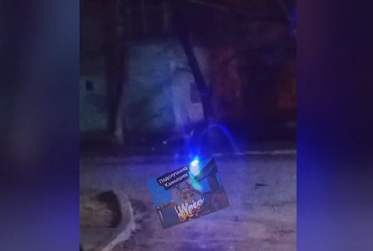 Лис заметили в жилых кварталах Волгограда и области