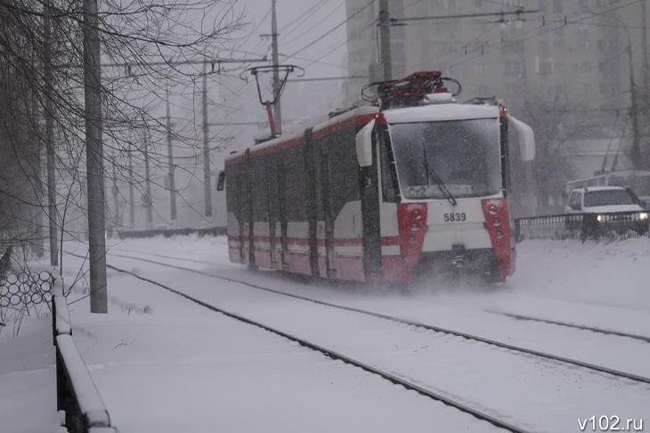 Гидрометцентр предупредил волгоградцев о начале снежного бурана