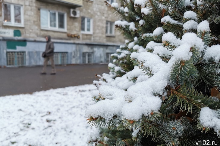 В Волгоградской области потеплеет до +3 градусов