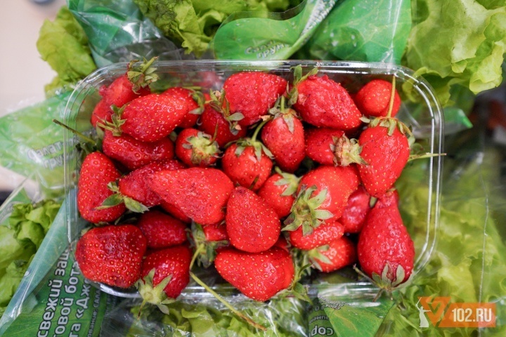 В Волгоградской области собрали рекордный урожай фруктов и ягод